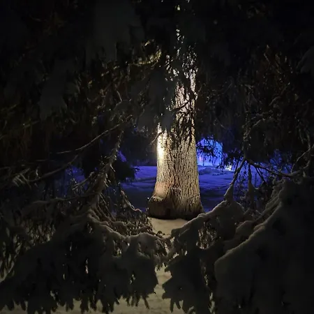 Villa Portimo 别墅 Portimo